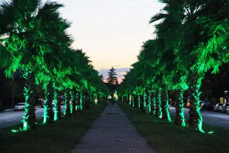 Green Palma