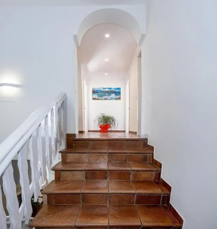 Casa la Cycas