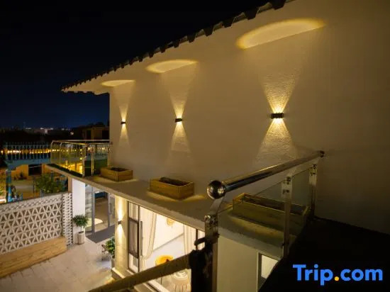Turks Flip Pigeon Homestay