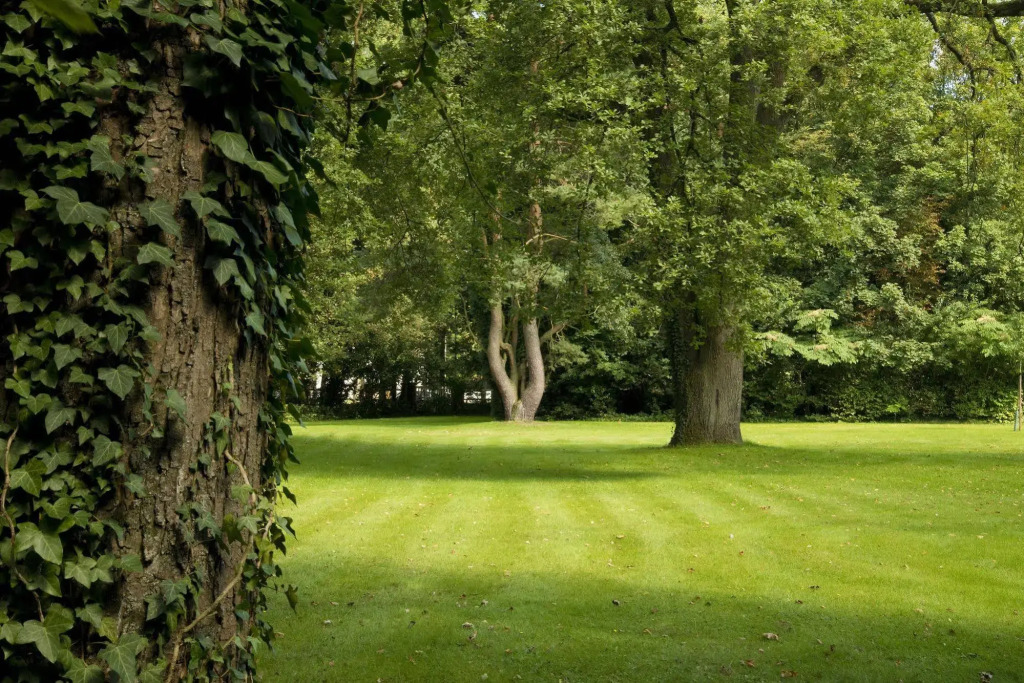 B&B Bloemenweelde