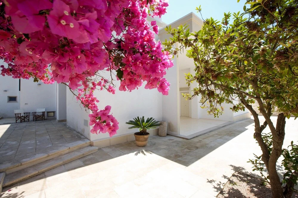Villa Anchora