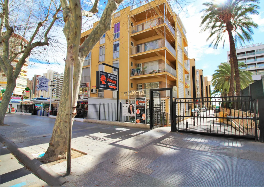 Penthouse Ancla 561
