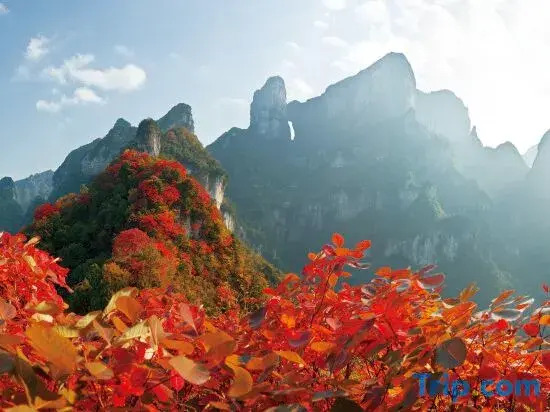 Yunxi Xiaozhu • Audio-Visual Homestay (Zhangjiajie Tianmen Mountain Cableway Branch)