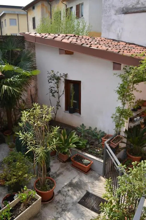 Casa del Cedro - Cedar House