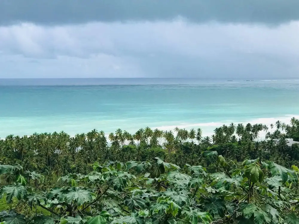 Piece of Paradise