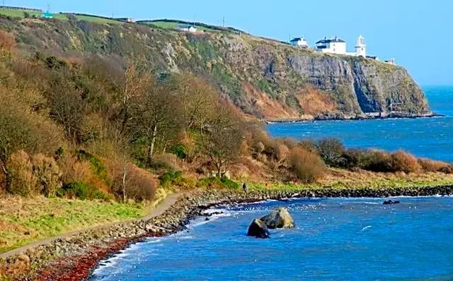 Whitehead Bed and Breakfast