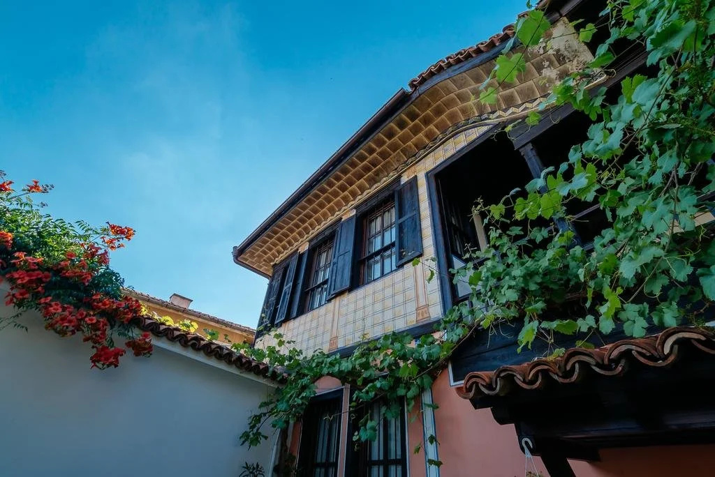The Zoev House