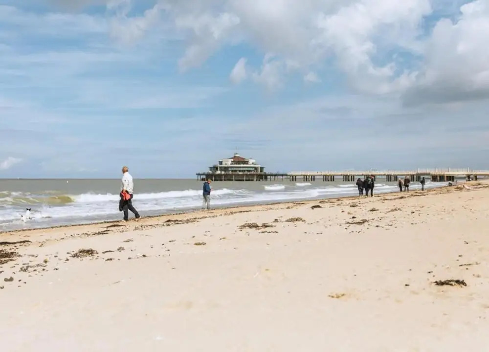 Apartment in Blankenberge with Sea Views