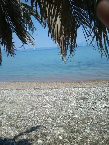 Evoikos beach & resort