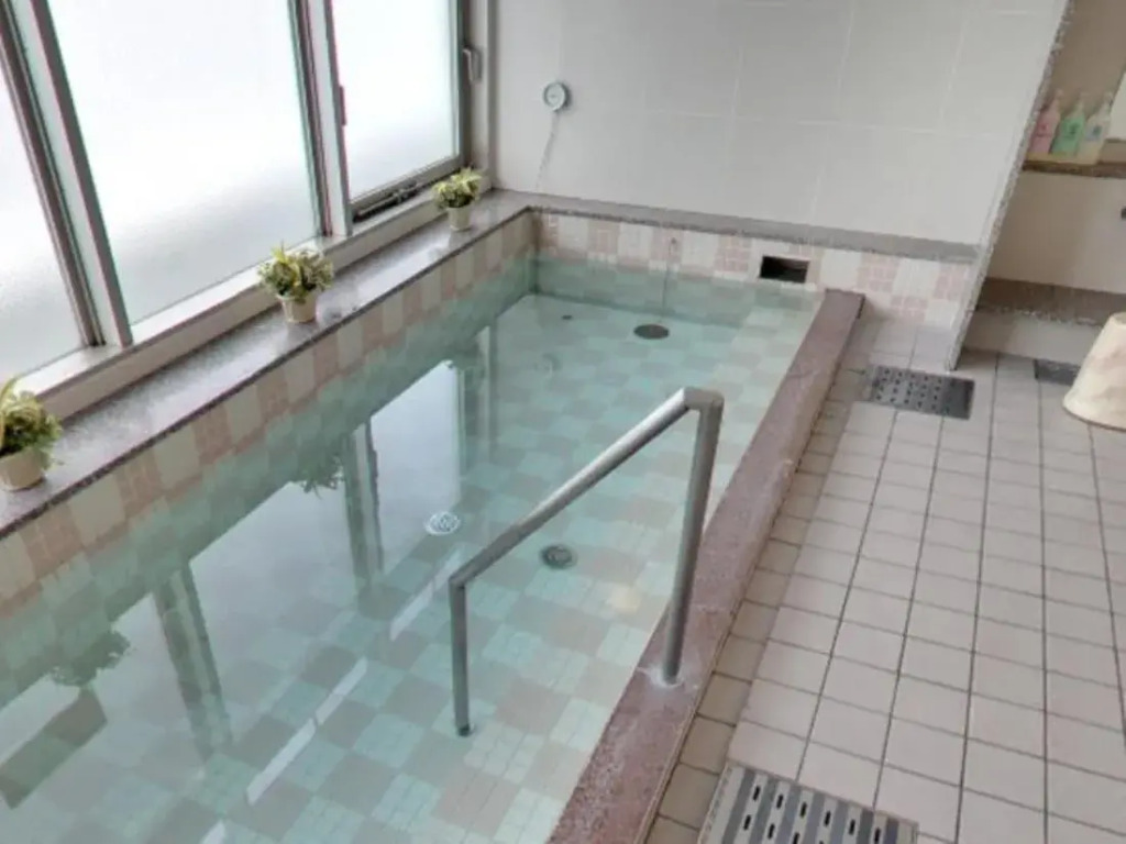 Hotel Famy Inn Kinshicho