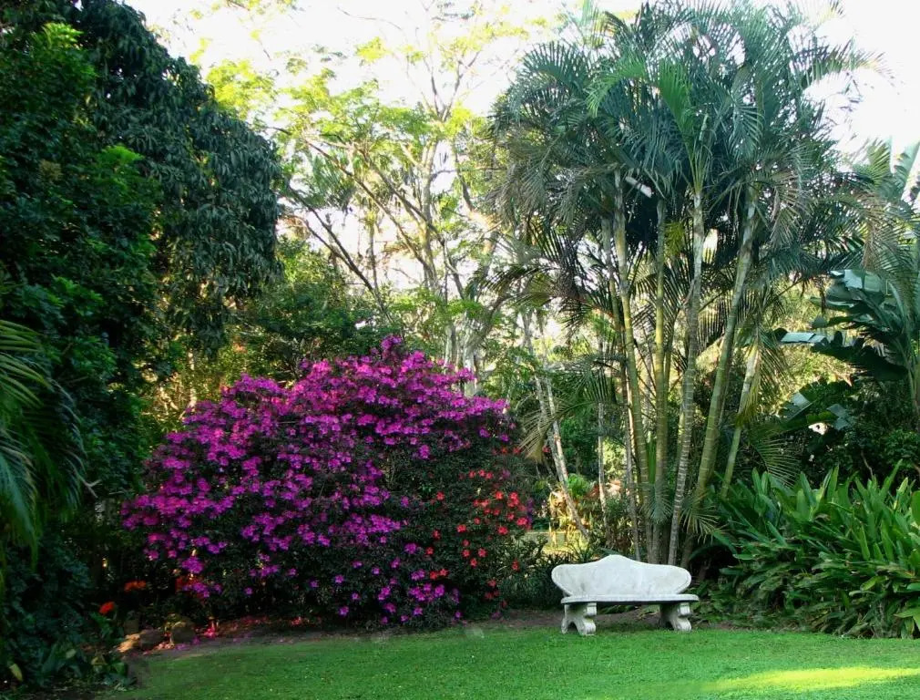 Butterscotch Bed and Breakfast