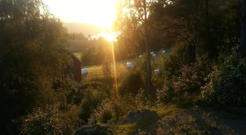 Hjorteskogen