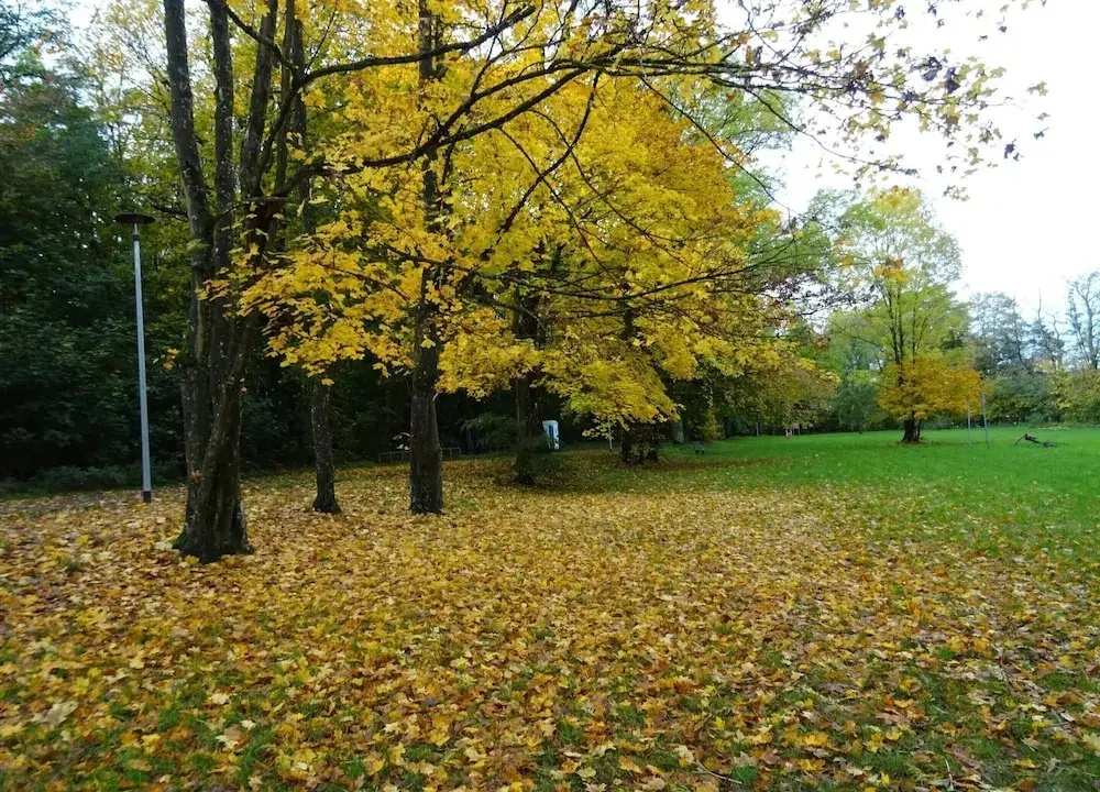 Apartment in Strausberg Near Straussee Lake