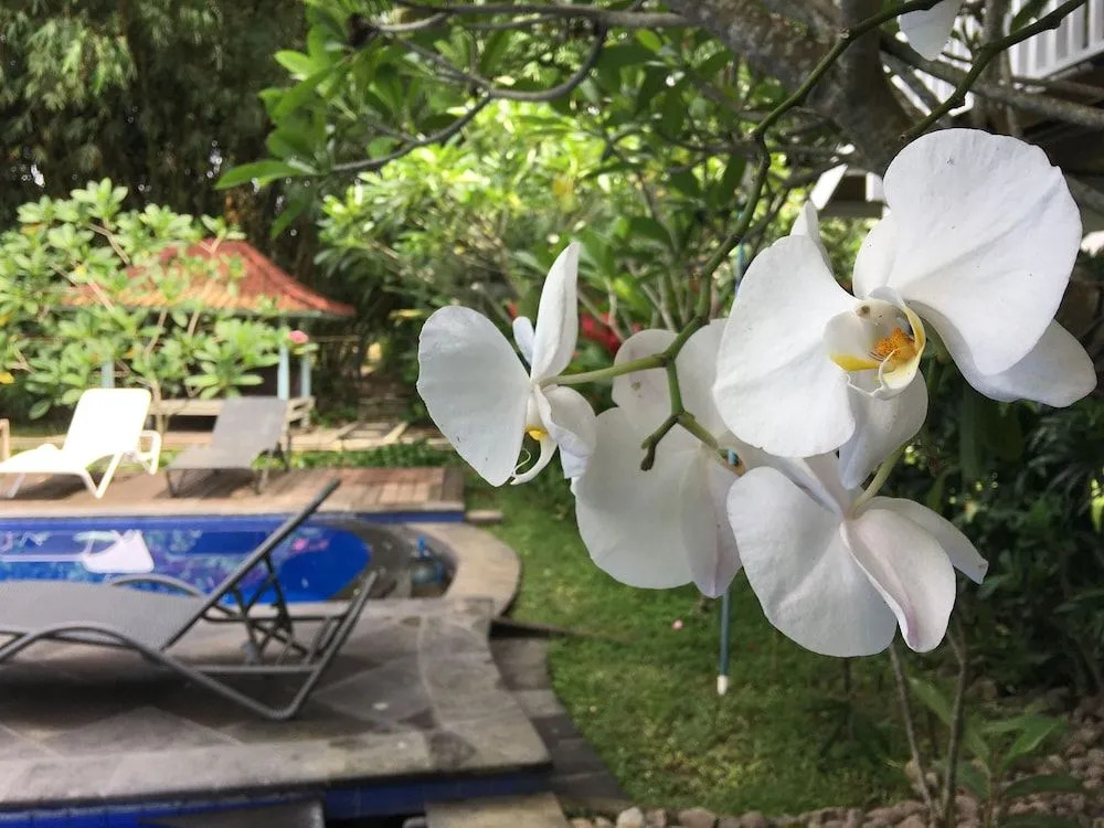 White Orchid Eco Resort