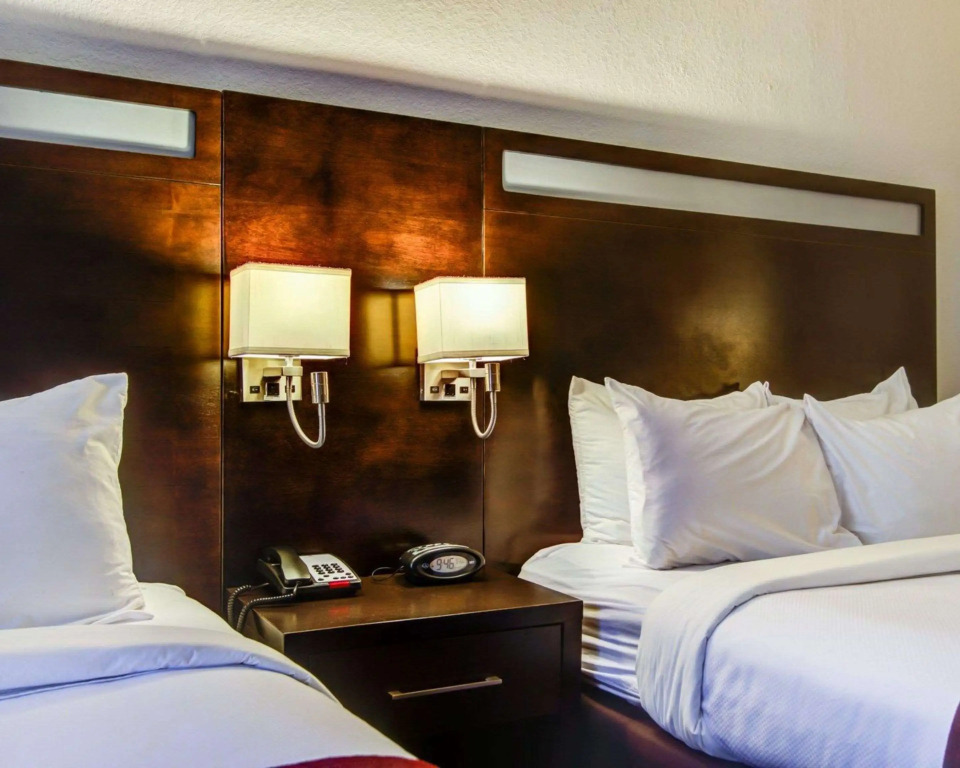 Comfort Suites Northside Hospital Gwinnett