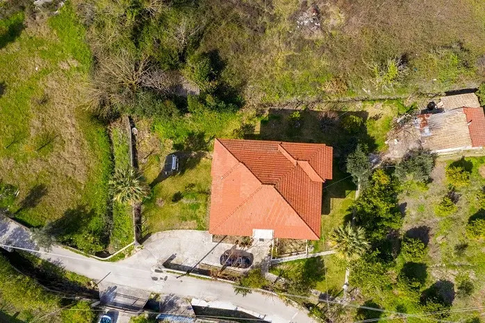 Orange Grove