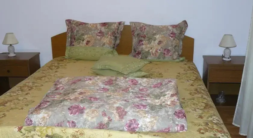 Pensiunea Voichita