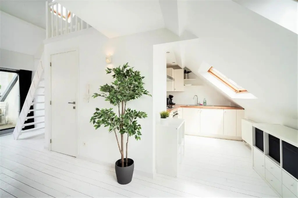Beautiful Cozy Apartments in the Heart of Antwerp