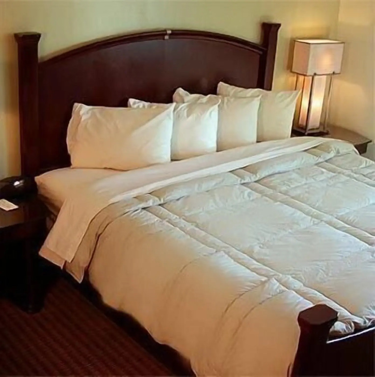 Marvin's Garden Inn