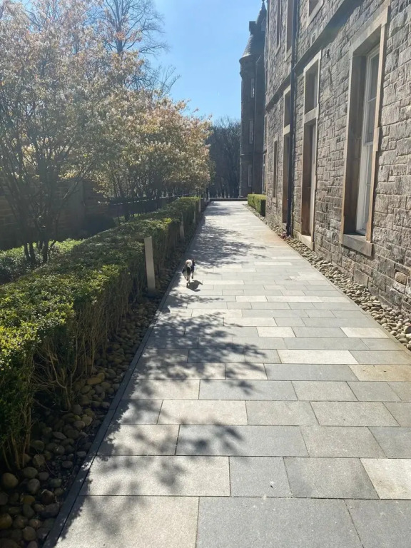 Stunning Park View Quartermile Apartment Close Proximity to Castle & University