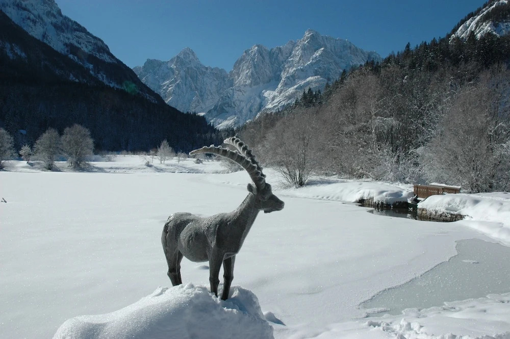 Alpe Aria Apartment