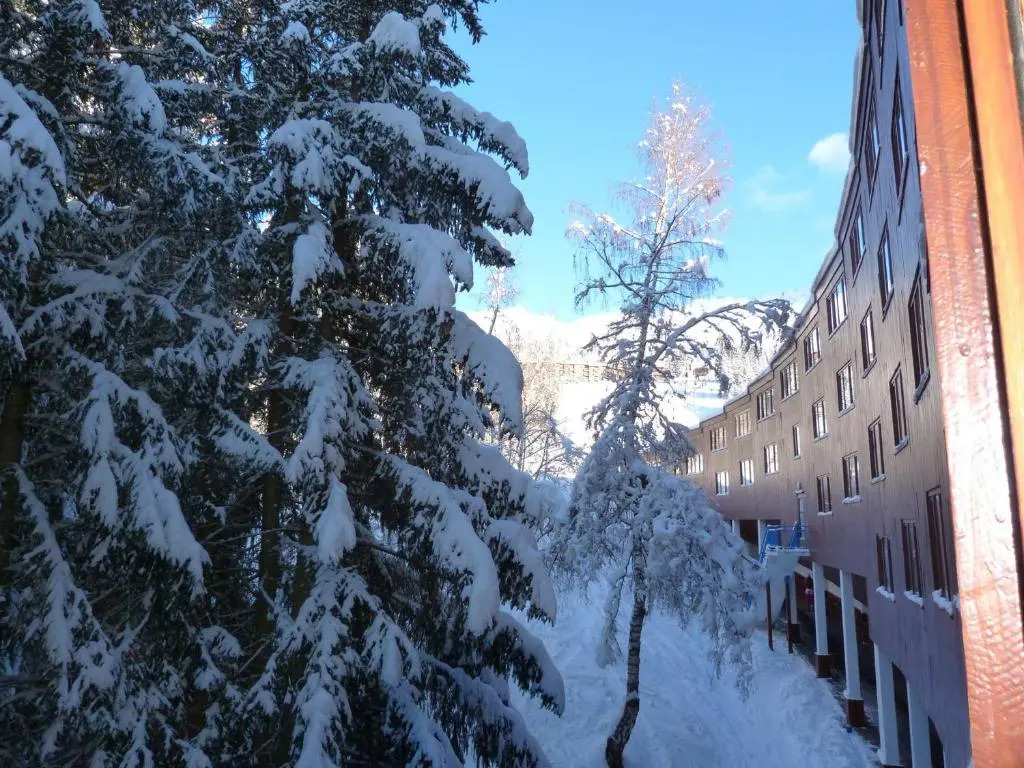 Appartement Les Arcs 1800, 1 pièce, 3 personnes - FR-1-411-158