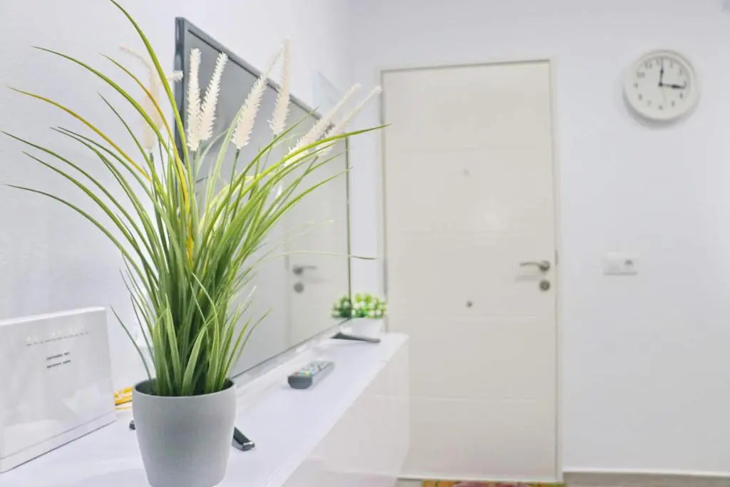 Apartamento Isabella Vejer