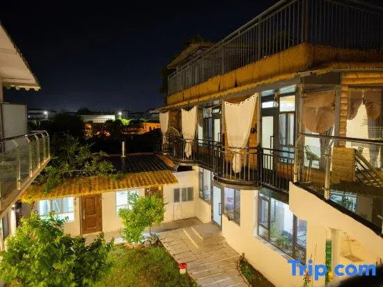 Turks Flip Pigeon Homestay