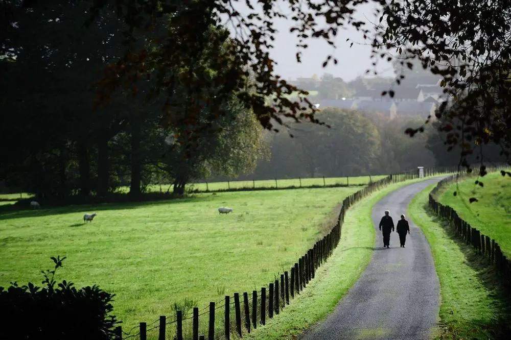The Falcondale