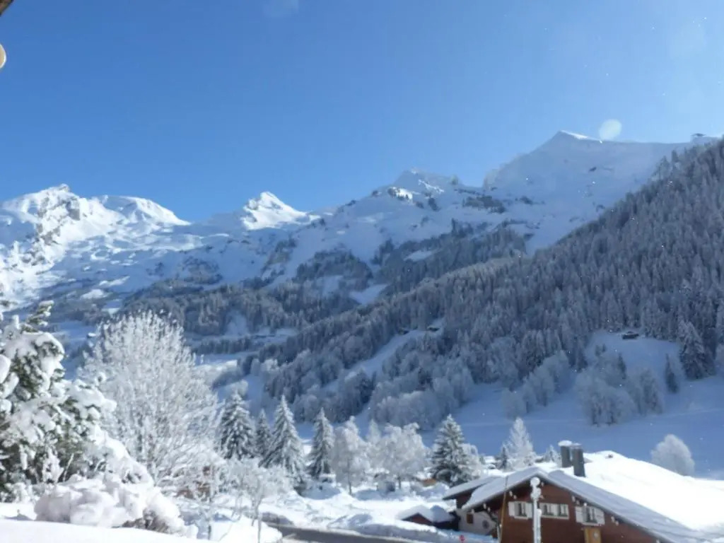 Appartement La Clusaz, 2 pièces, 5 personnes - FR-1-437-26