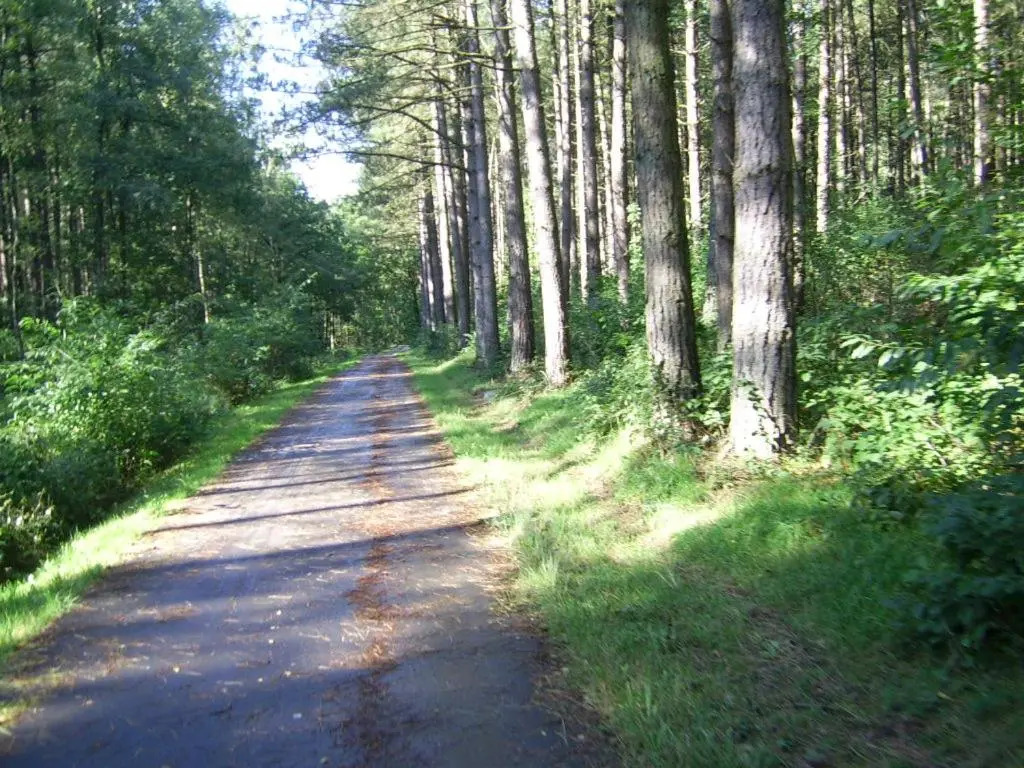 Bosbeekvallei