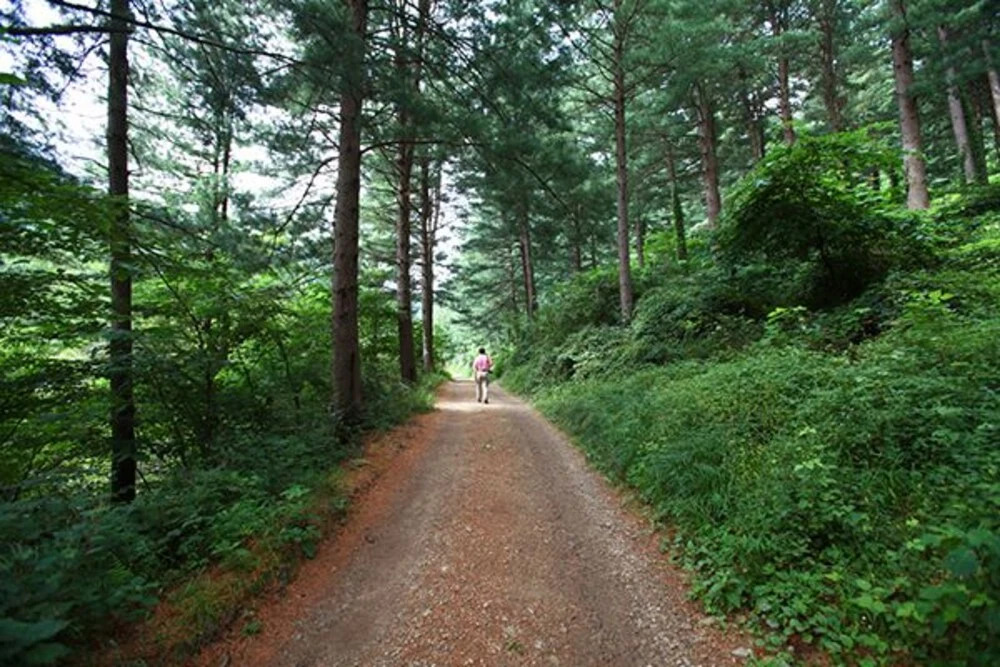 Gapyeong Starlight Maru Pension
