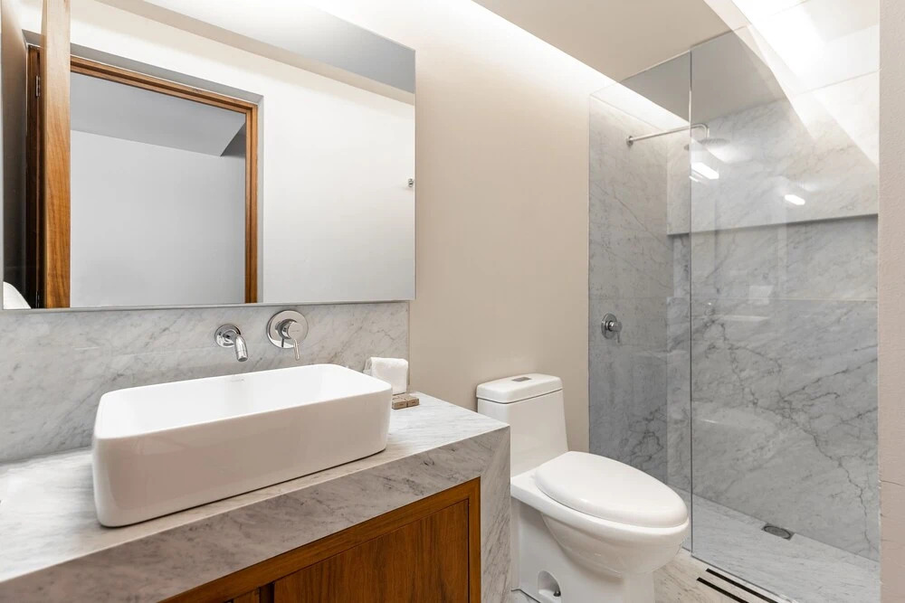 Casai Polanco Anatole France