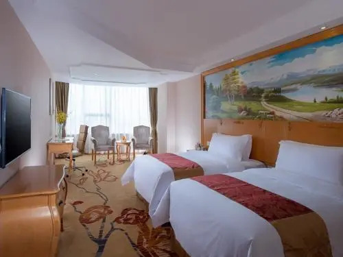 Vienna International Hotel (Guangzhou Development District)