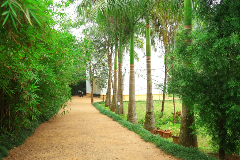 Vythiri Greens Holiday Resorts