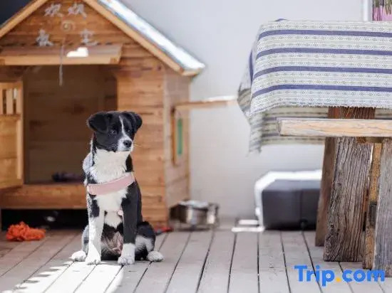 Huanyi · Travel Secret Designer Boutique Hotel (Panxi Internet-Famous S-Bend Store)