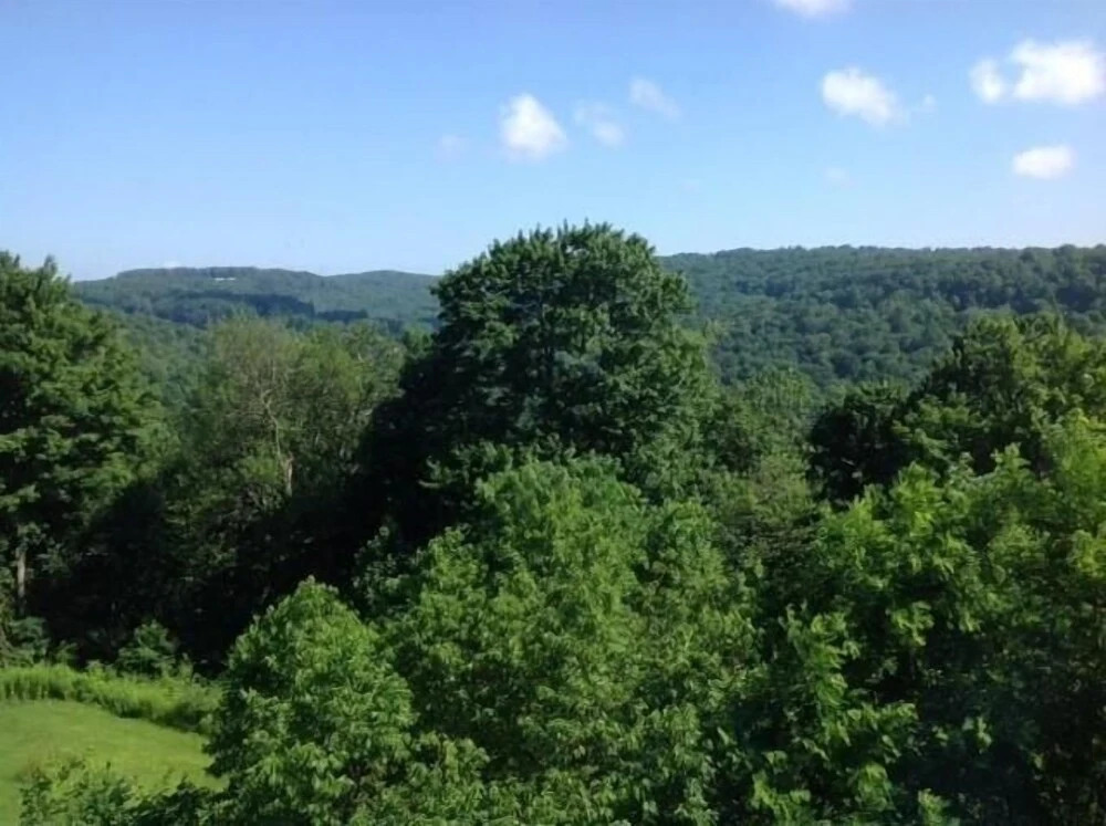 Seven Springs 4 BR Premium Condo, Mountain Views! by RedAwning