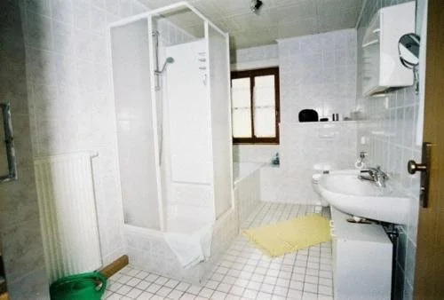 Hotel-Gasthaus Schwanen