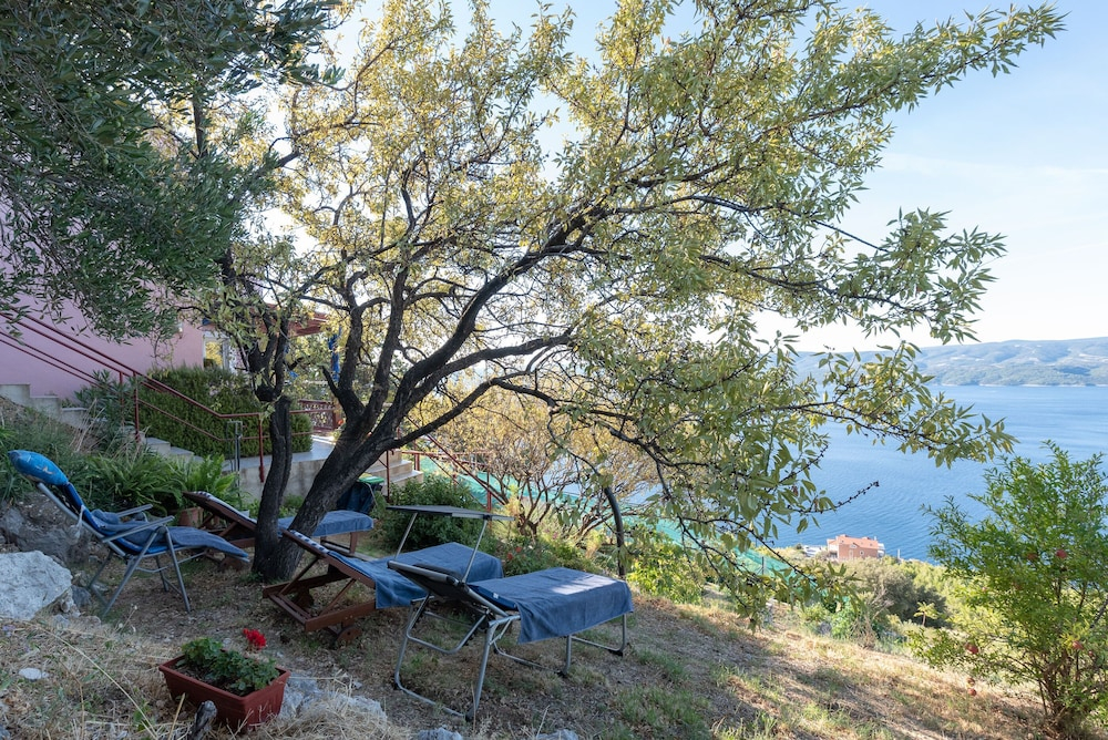 House Panorama