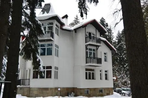 The Forest Villa Borovets by BookVillaBG