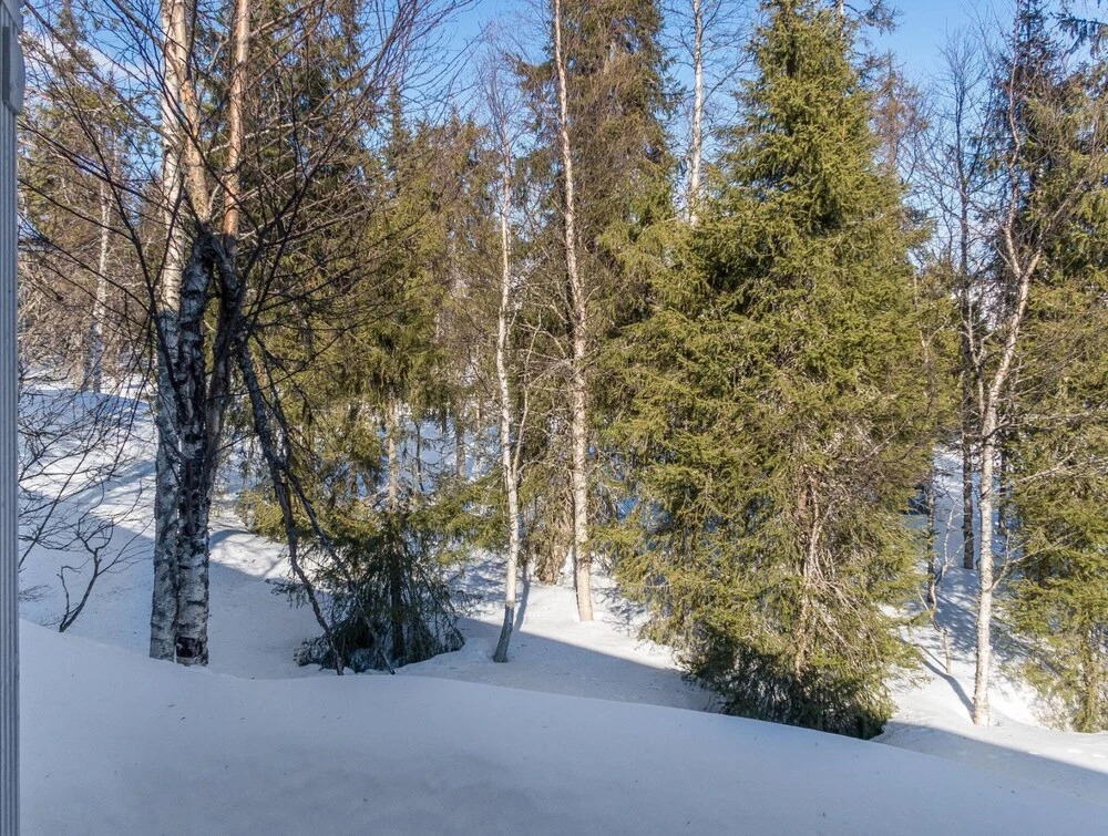 Nelikko a Kuusamo in Kuusamo