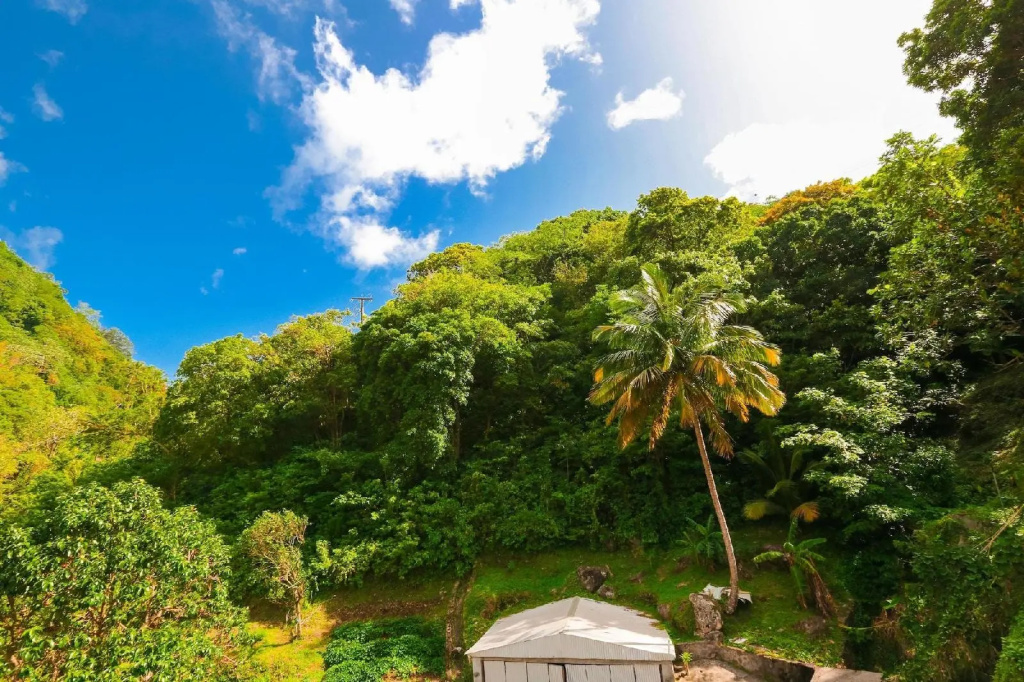 Serenity Escape St Lucia