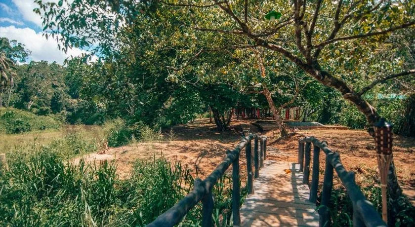 Sinharaja Rainforest Vibe