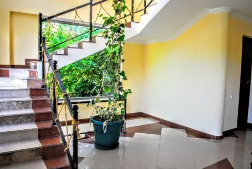 Hotel Amigo II