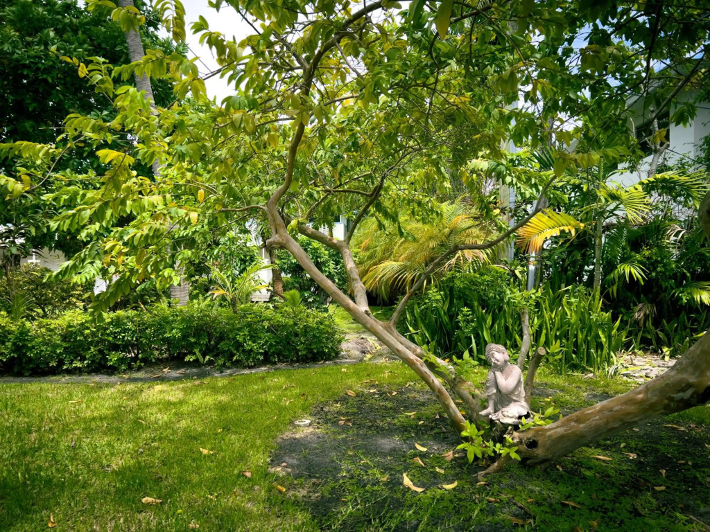 Beach Gardens