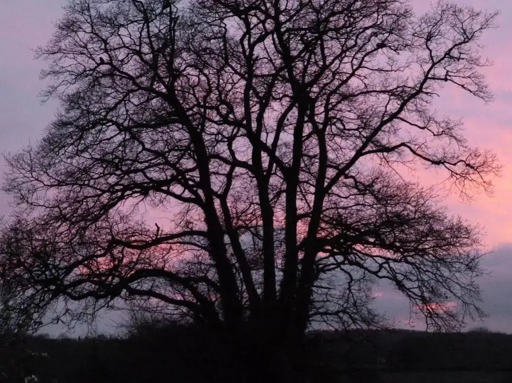 Whidlecombe Farm