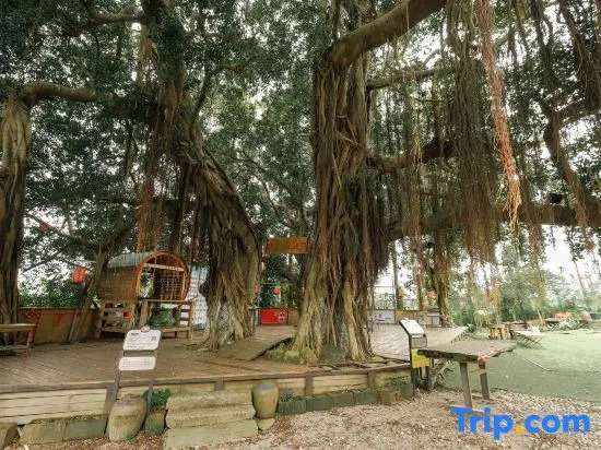 Feiyi Culture Village (Dapeng Suocheng Branch)