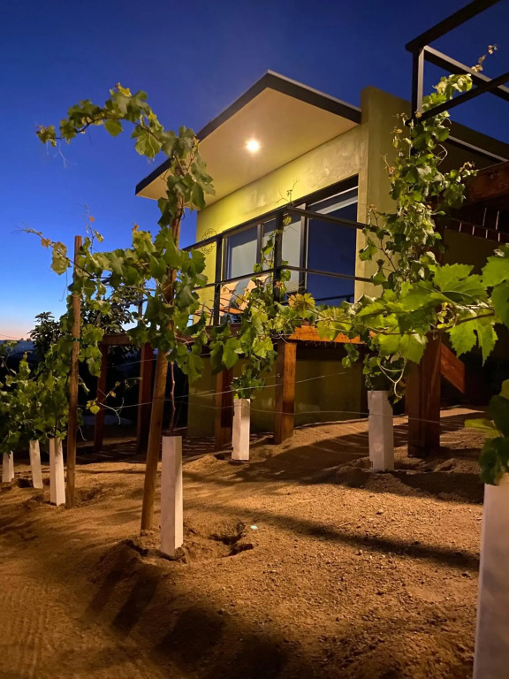 Palta 60 Valle de Guadalupe