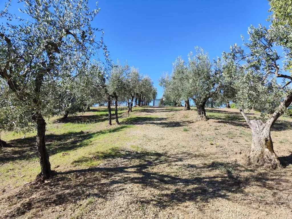 Agriturismo Sommassa