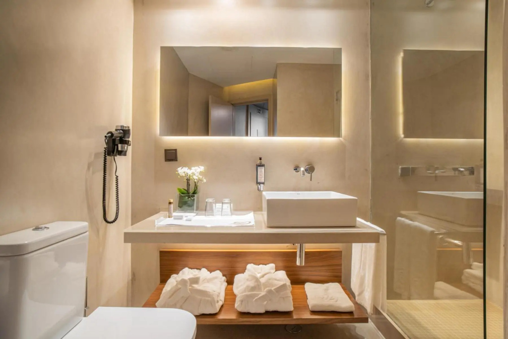 Hotel Dom Henrique - Downtown